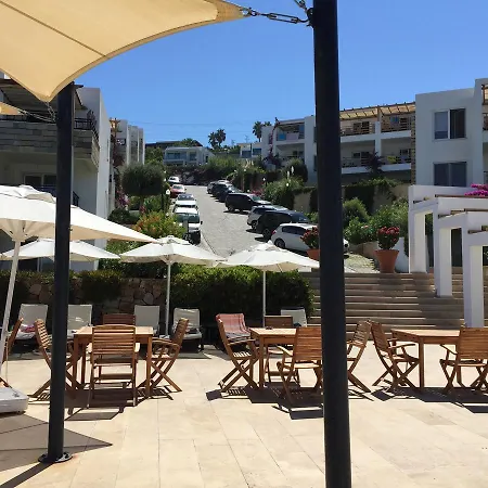 Duplex With Private Beach In Bodrum 公寓 亚力卡瓦克